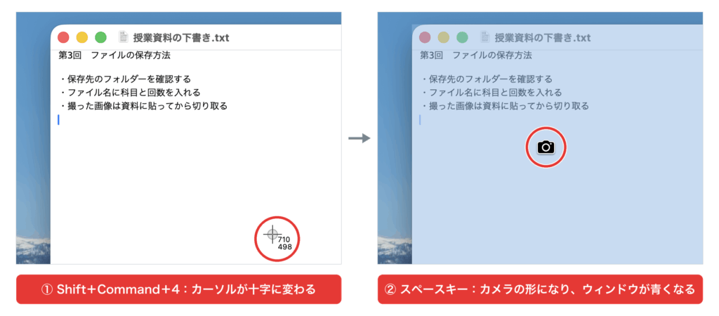 Shift＋Command＋4の十字カーソルとスペースキー後のカメラカーソル
